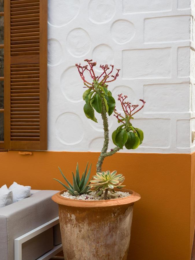 Beautiful House In Traditional Canarian Style Dom wakacyjny *